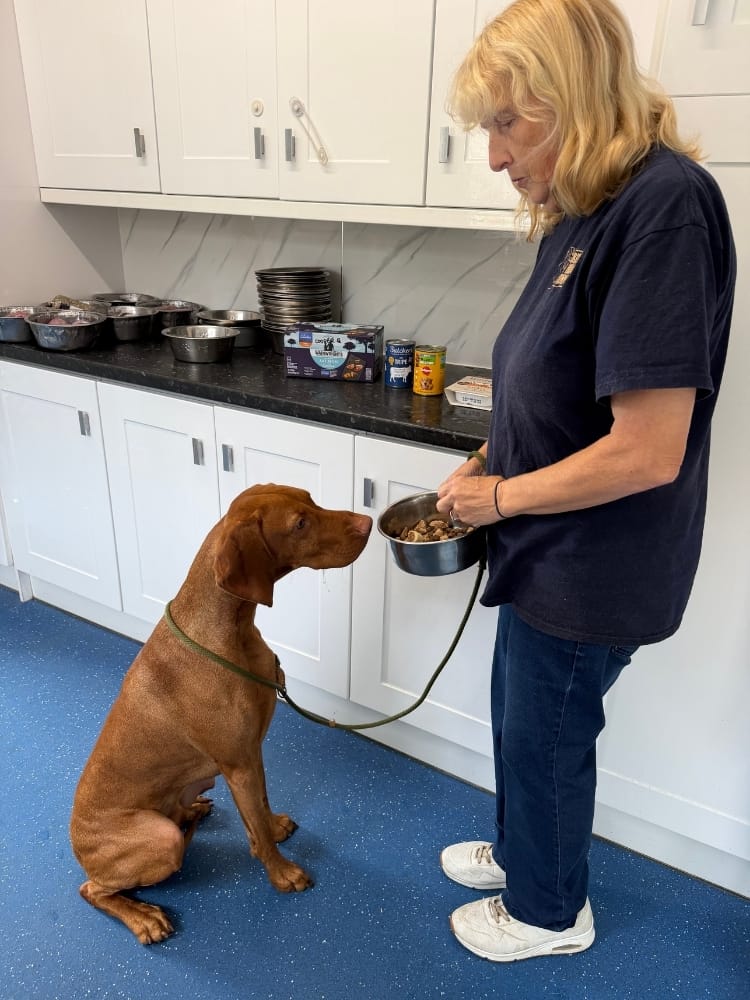 Feeding and Medication