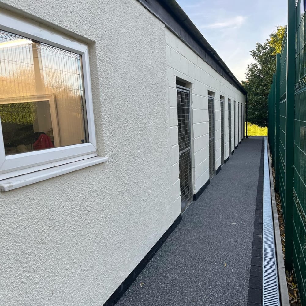 Outside The Kennels