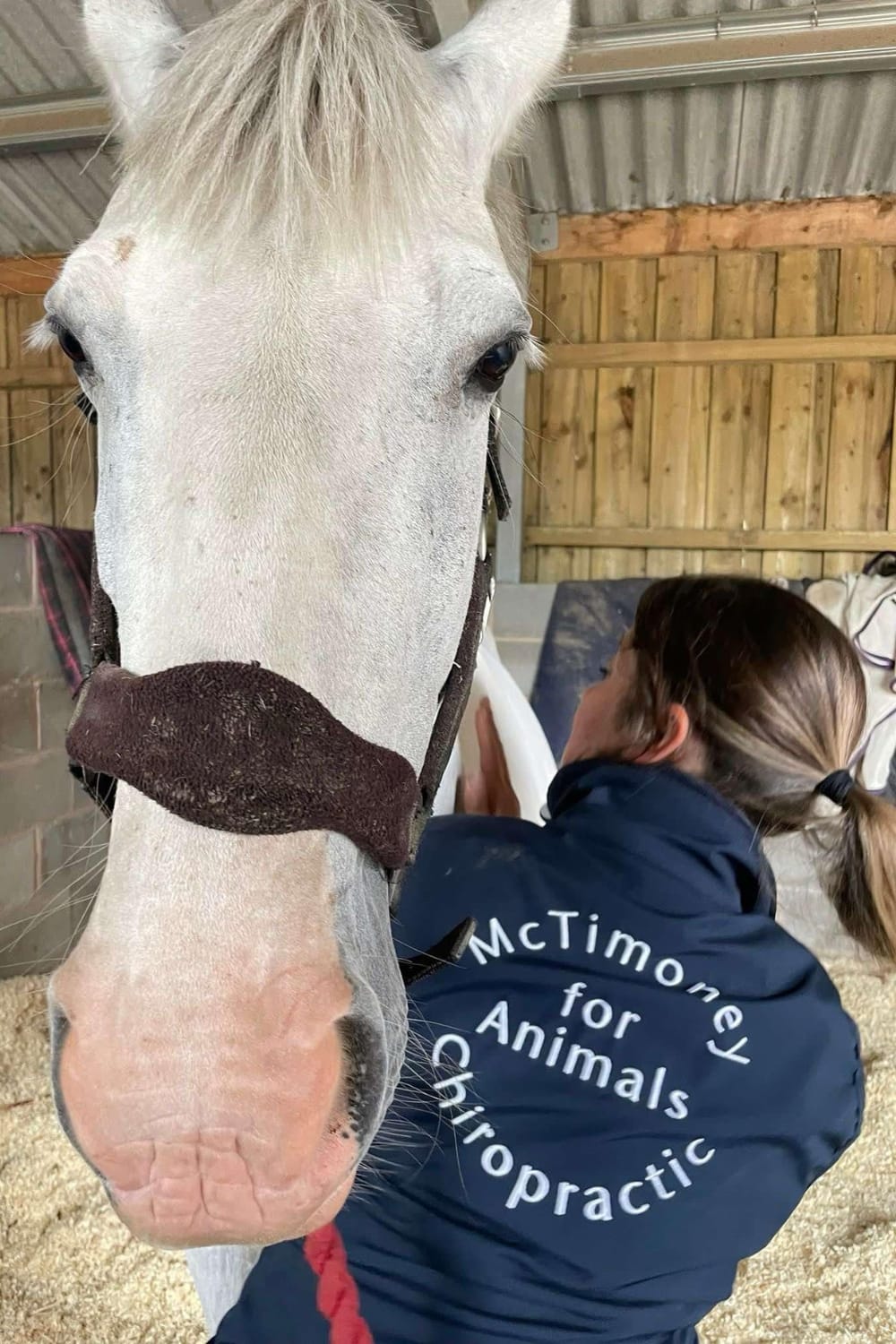 Sarah Assessing Horse