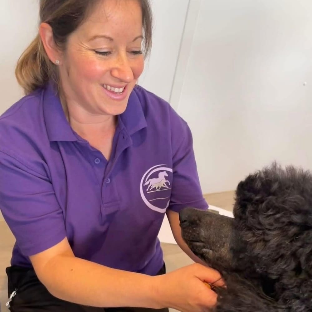 Sarah Dog Practitioner
