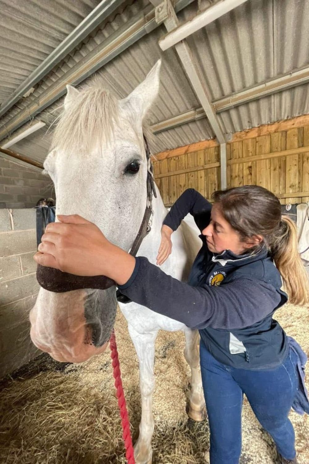 Sarah Treating Horse